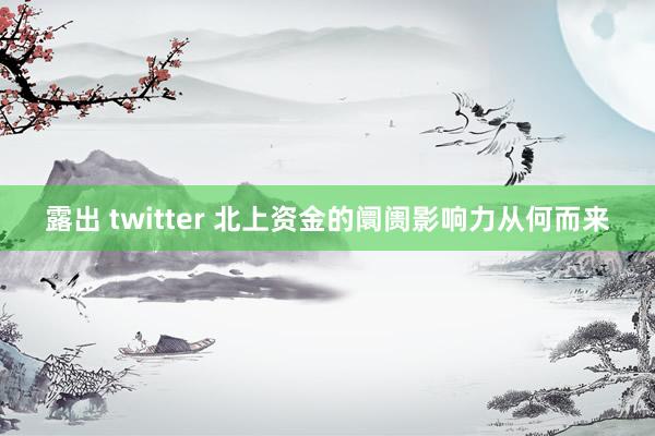 露出 twitter 北上资金的阛阓影响力从何而来